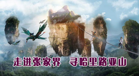  C5ҽ硢Ԭҽҽɽռ